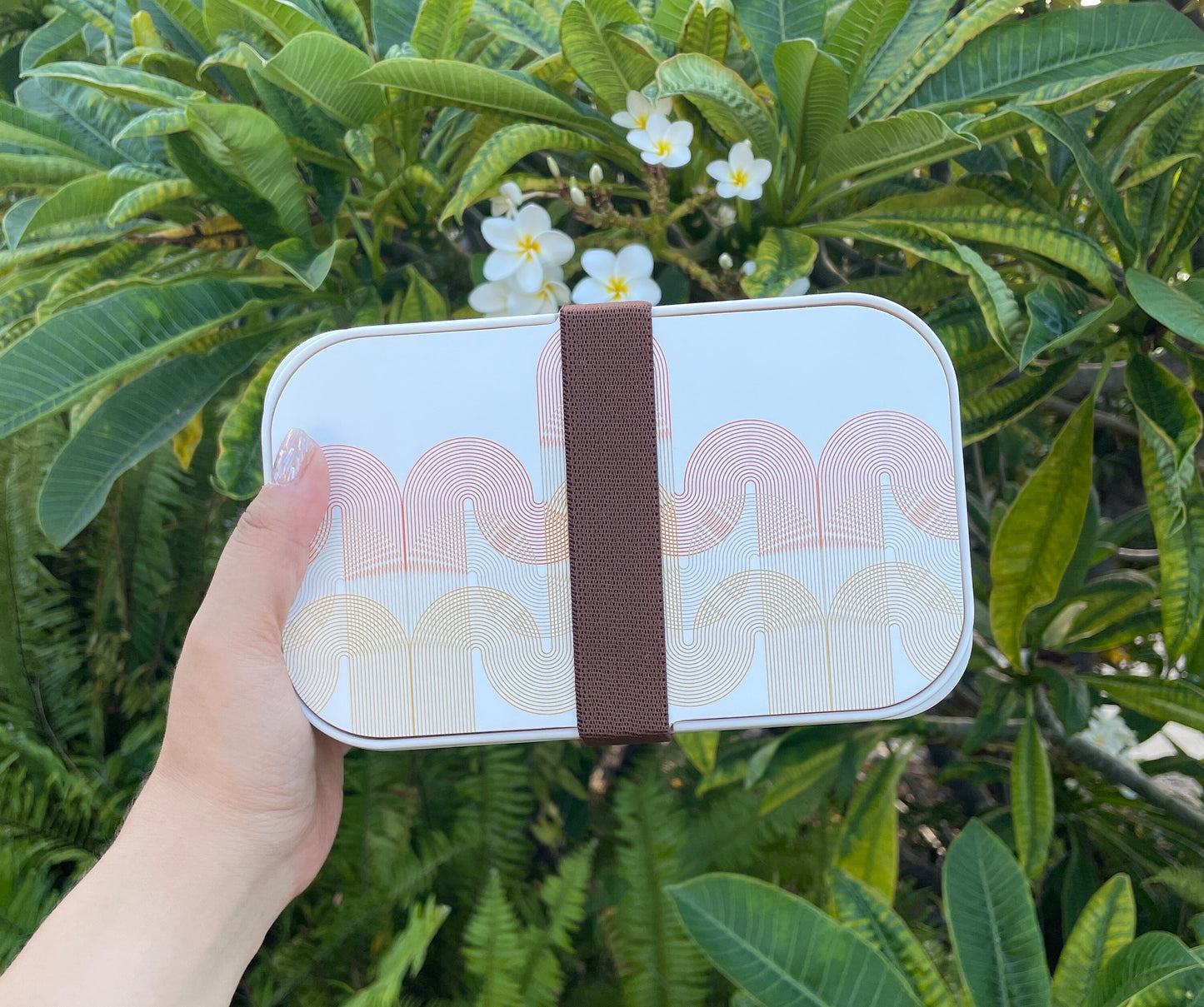 Balance Bento