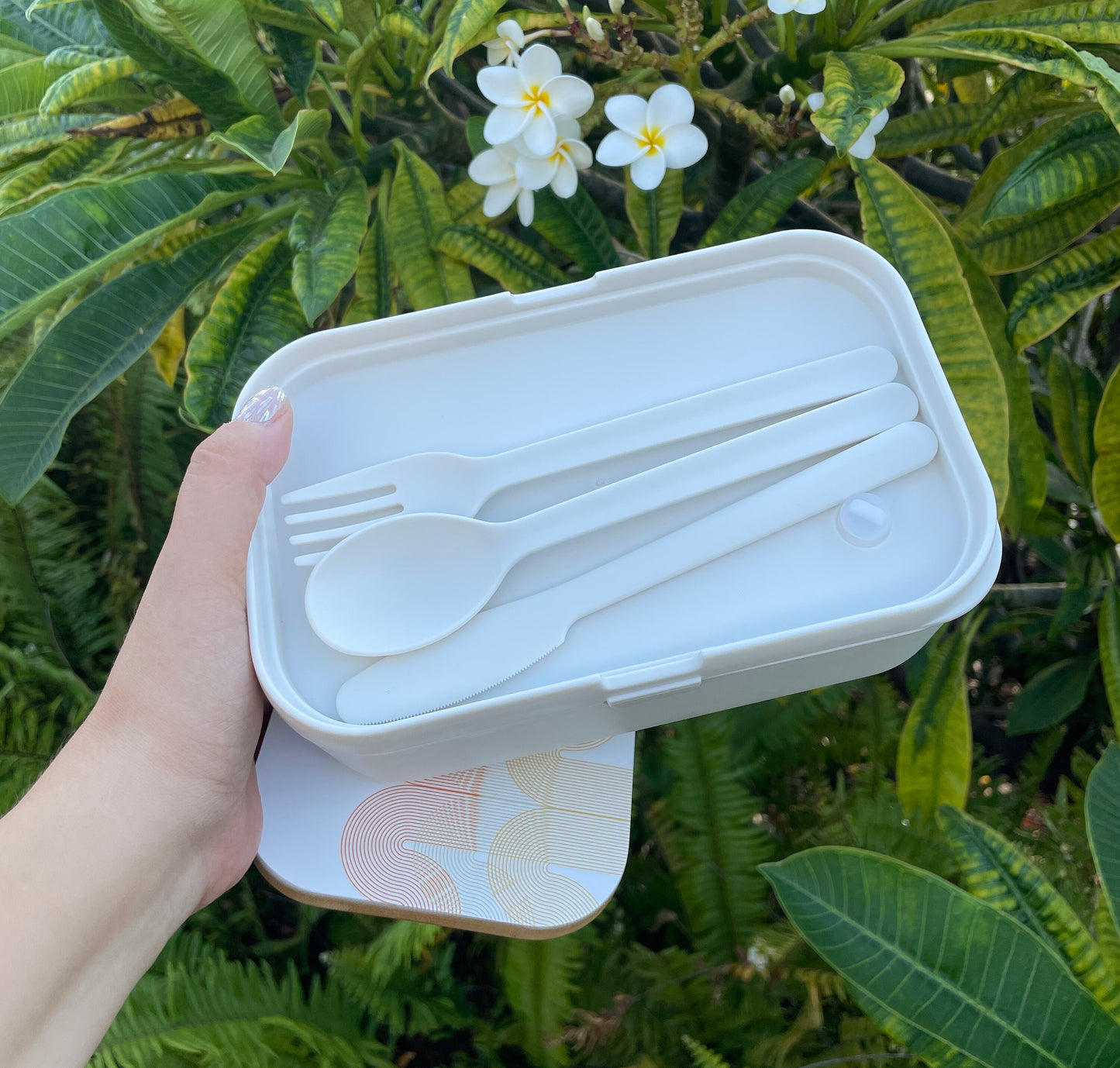 Balance Bento