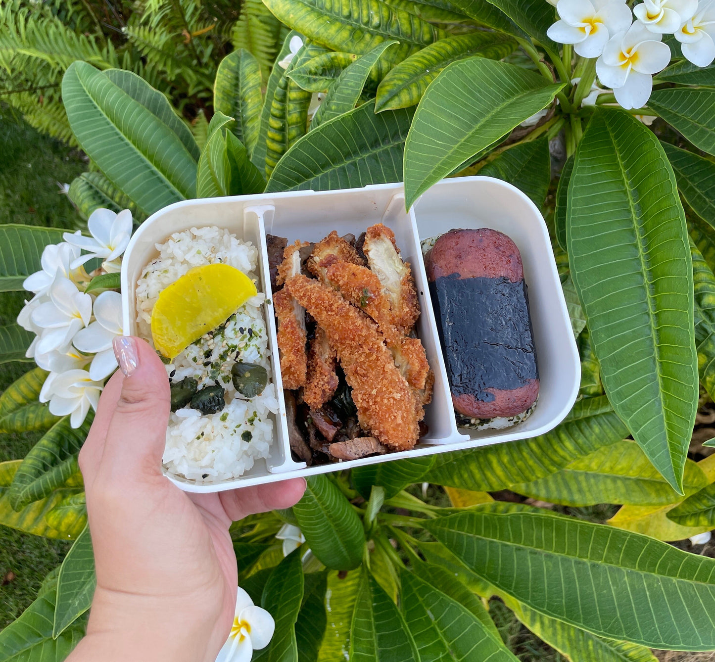 Balance Bento