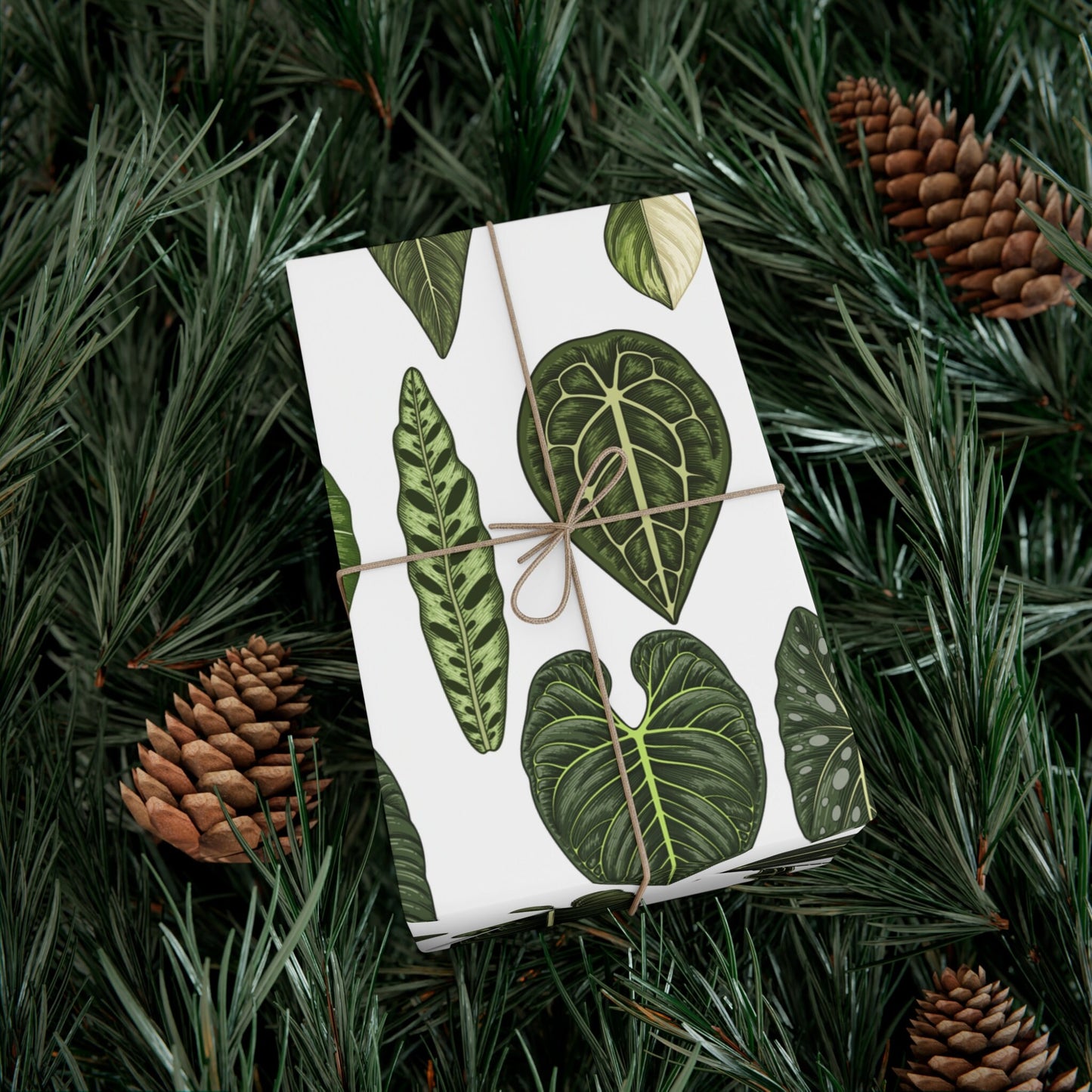 Rare Aroids Gift Wrap