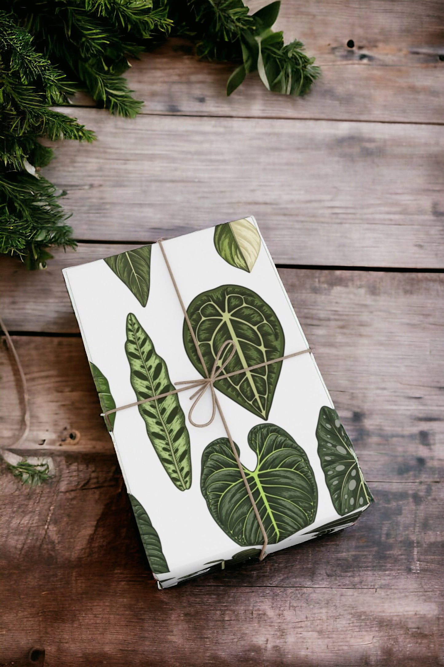 Rare Aroids Gift Wrap
