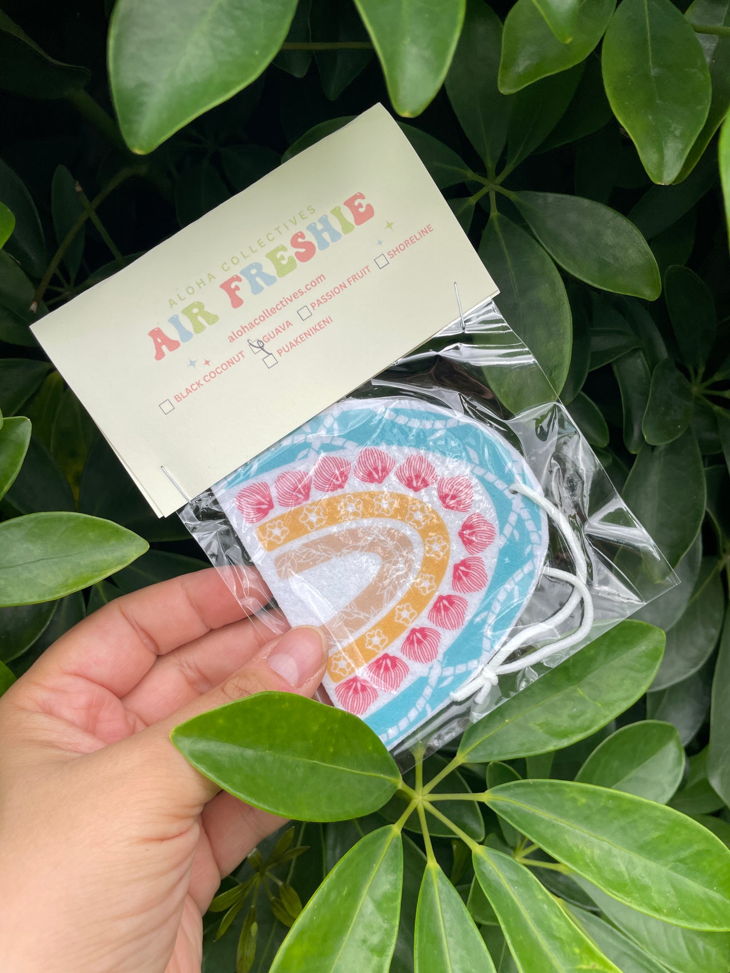 Tropical Rainbow Air Freshie