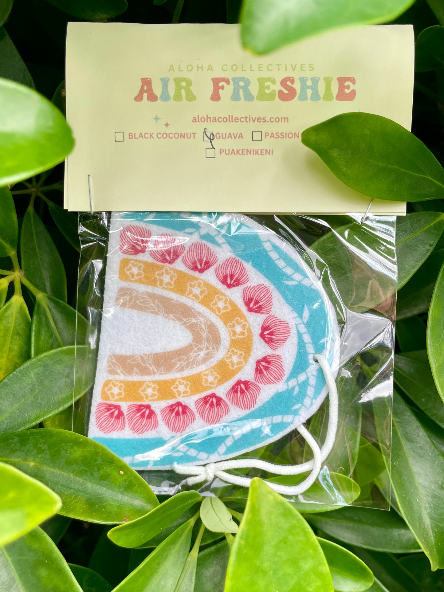 Tropical Rainbow Air Freshie